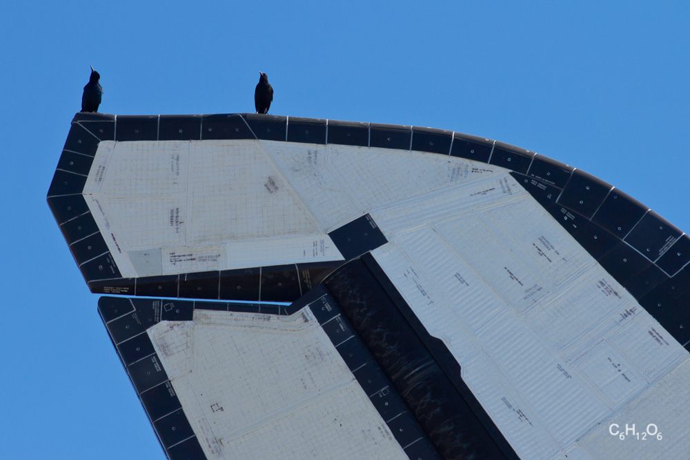 IMAGE: http://guvmentcheese.com/jd0gg/photos/atlantis/rollover/1137-7723.jpg